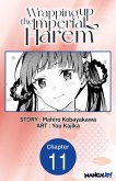 Wrapping up the Imperial Harem #011 (eBook, ePUB)