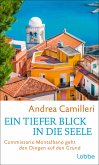 Ein tiefer Blick in die Seele / Commissario Montalbano Bd.26   (Mängelexemplar)