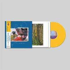 Kaleidoscopic Visions - Skinner,Tom Kaleidoscopic Visions - Skinner,Tom