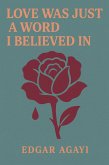 Love Was Just a Word I Believed In (eBook, ePUB)