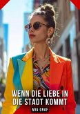 Wenn die Liebe in die Stadt kommt (eBook, ePUB)