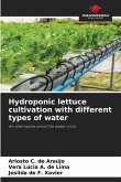 Hydroponic lettuce cultivation with different types of water Hydroponic lettuce cultivation with different types of water