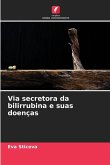 Via secretora da bilirrubina e suas doenças
