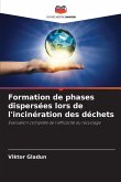 Formation de phases dispersées lors de l'incinération des déchets