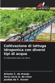 Coltivazione di lattuga idroponica con diversi tipi di acqua
