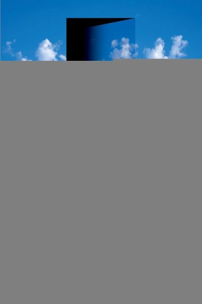 Debating Libertarianism (eBook, PDF) Debating Libertarianism (eBook, PDF)