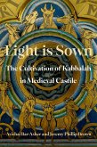 Light is Sown (eBook, ePUB)