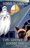 The Ghost in Room 785 The Ghost in Room 785
