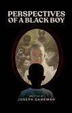 Perspectives of a Black Boy