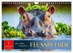 Flusspferde - die stillen Giganten (Wandkalender 2026 DIN A4 quer), CALVENDO Monatskalender