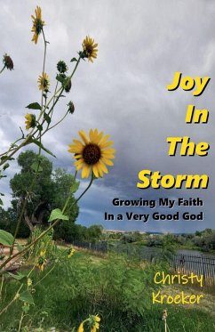 Cover Joy In The Storm