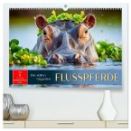 Flusspferde - die stillen Giganten (hochwertiger Premium Wandkalender 2026 DIN A2 quer), Kunstdruck in Hochglanz