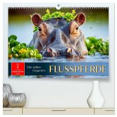 Flusspferde - die stillen Giganten (hochwertiger Premium Wandkalender 2026 DIN A2 quer), Kunstdruck in Hochglanz
