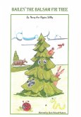Bailey The Balsam Fir Tree Bailey The Balsam Fir Tree