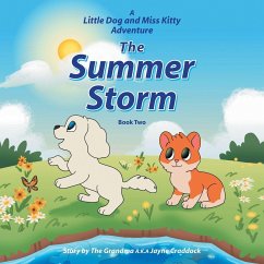 Cover The Summer Storm