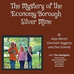 Cover The Mystery of the Economy Borough Silver Mine DIRECT