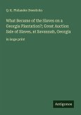 What Became of the Slaves on a Georgia Plantation?; Great Auction Sale of Slaves, at Savannah, Georgia What Became of the Slaves on a Georgia Plantation?; Great Auction Sale of Slaves, at Savannah, Georgia