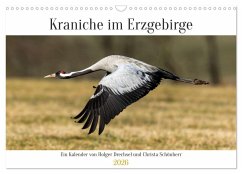 Kraniche im Erzgebirge (Wandkalender 2026 DIN A3 quer), CALVENDO Monatskalender - Calvendo;Drechsel - Naturfotografie Drechsel, Holger