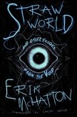 Straw World and Other Echoes from the Void (eBook, ePUB)
