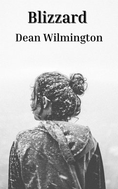 Cover Blizzard (eBook, ePUB)