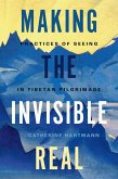 Making the Invisible Real (eBook, PDF)