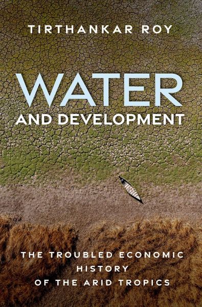 Water and Development (eBook, PDF)