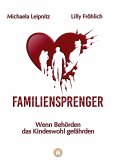 Familiensprenger - Der juristische Ratgeber über Inobhutnahme, Sorgerechtskonflikte, Behördenversagen und staatliche Eingriffe in Familien