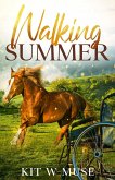 Walking Summer (eBook, ePUB)