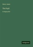 The Pupil The Pupil