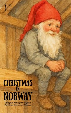 Cover Christmas in Norway