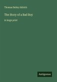 The Story of a Bad Boy