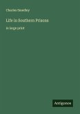 Life in Southern Prisons