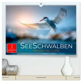 Seeschwalben - Meister der Lüfte (hochwertiger Premium Wandkalender 2026 DIN A2 quer), Kunstdruck in Hochglanz