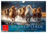 Islandpferde - Freiheit im Blick (Wandkalender 2026 DIN A4 quer), CALVENDO Monatskalender