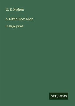 Cover A Little Boy Lost