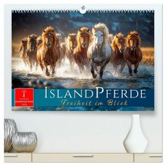 Islandpferde - Freiheit im Blick (hochwertiger Premium Wandkalender 2026 DIN A2 quer), Kunstdruck in Hochglanz - Calvendo;Roder Islandpferde - Freiheit im Blick (hochwertiger Premium Wandkalender 2026 DIN A2 quer), Kunstdruck in Hochglanz - Calvendo;Roder