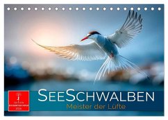 Cover Seeschwalben - Meister der Lüfte (Tischkalender 2026 DIN A5 quer), CALVENDO Monatskalender