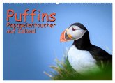 Puffins - Papageientaucher auf Island (Wandkalender 2026 DIN A2 quer), CALVENDO Monatskalender