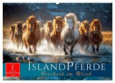 Islandpferde - Freiheit im Blick (Wandkalender 2026 DIN A2 quer), CALVENDO Monatskalender