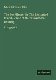 The Boy Miners; Or, The Enchanted Island, A Tale of the Yellowstone Country