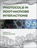 Protocols in Root-Microbe Interactions (eBook, PDF)