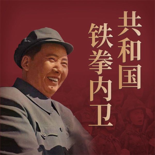 共和国铁拳内卫 (MP3-Download) 共和国铁拳内卫 (MP3-Download)