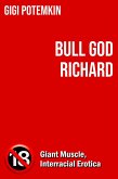 Bull God Richard (Adult books by Gigi Potemkin, #23) (eBook, ePUB) Bull God Richard (Adult books by Gigi Potemkin, #23) (eBook, ePUB)