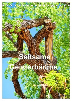 Cover Geisterbäume (Tischkalender 2026 DIN A5 hoch), CALVENDO Monatskalender