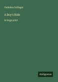 A Boy's Ride