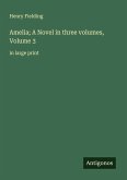 Amelia; A Novel in three volumes, Volume 3 Amelia; A Novel in three volumes, Volume 3