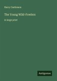 The Young Wild-Fowlers