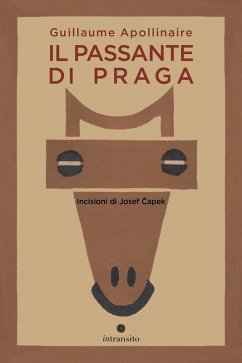 Cover Il passante di Praga