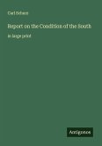 Report on the Condition of the South