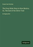 The Pony Rider Boys in New Mexico; Or, The End of the Silver Trail